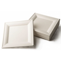 PIATTI CARTONCINO BIO QUADRATO CM.16X16 PZ.50                       