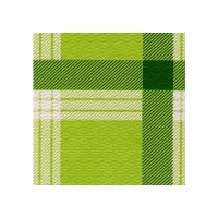 TOVAGLIA 100X100 ACCOPPIATA PZ. 50 GALLES VERDE                     