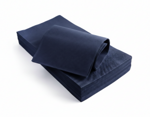 TOVAGLIA TNT  100X100 BLU     25/100                                