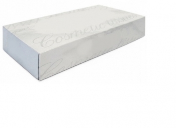 FAZZOLETTI PROFESSIONAL 100 PZ. DISPENSER                           