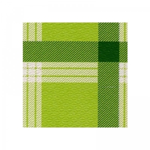 TOVAGLIA 100X100 ACCOPPIATA PZ. 50 GALLES VERDE                     