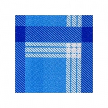 TOVAGLIA 100X100 ACCOPPIATA PZ. 50 GALLES BLU                       